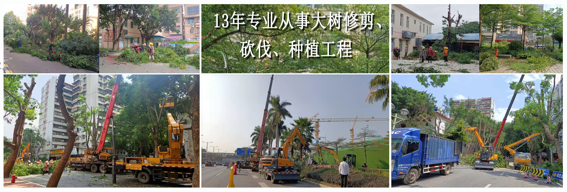 佛山園林綠化工程,佛山樹(shù)木大樹(shù)修剪,佛山植物租賃，佛山綠植出租租賃，佛山綠化養(yǎng)護(hù)